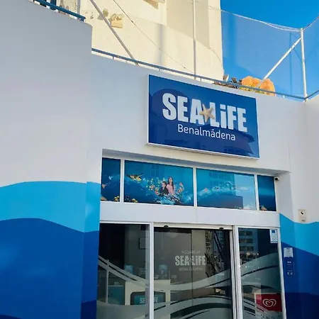 Tu Paraiso Frente Al Mar Atico En *
